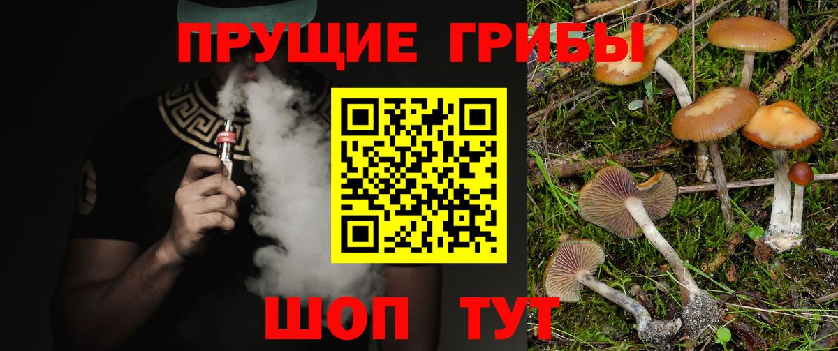 Карталы  где можно купить   Вход с VPN  Галлюциногенные грибы прущие грибы 